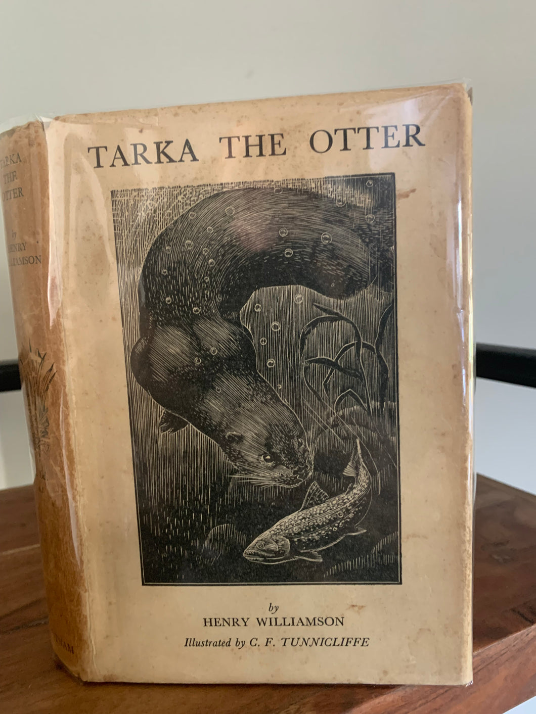Tarka the Otter