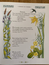 The Orchard Book of Classic Shakespeare Verse