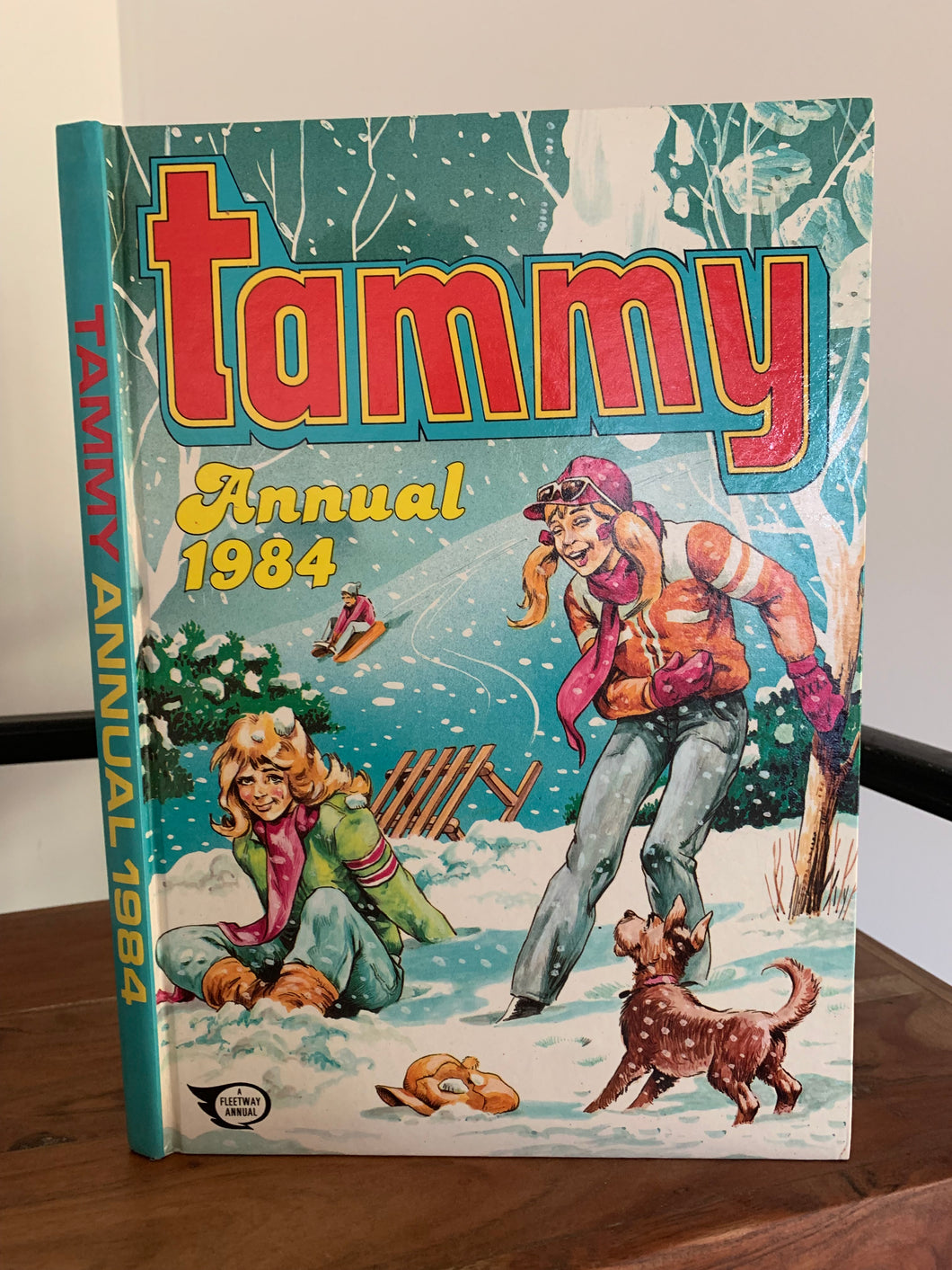 Tammy Annual 1984