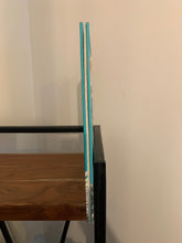 Thidwick - The Big-Hearted Moose