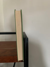 Biggles Takes it Rough