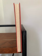 Joey and the River Pirates