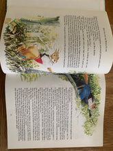 Enid Blyton's Brer Rabbit Book
