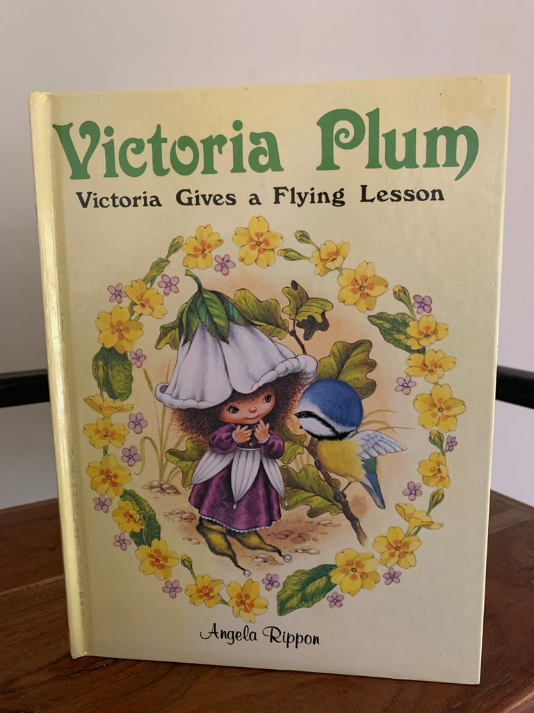 Victoria Plum - Victoria Gives a Flying Lesson – Humford Mill Books