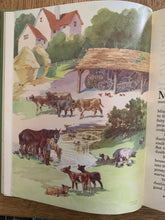 The Enid Blyton Holiday Book