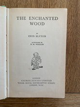 The Enchanted Wood