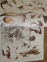 The World of the Dark Crystal