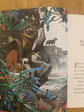 Into The Jungle: Stories For Mowgli (signed)