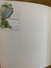 Elmer Again (signed with doodle)