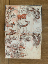 Alice's Adventures in Wonderland