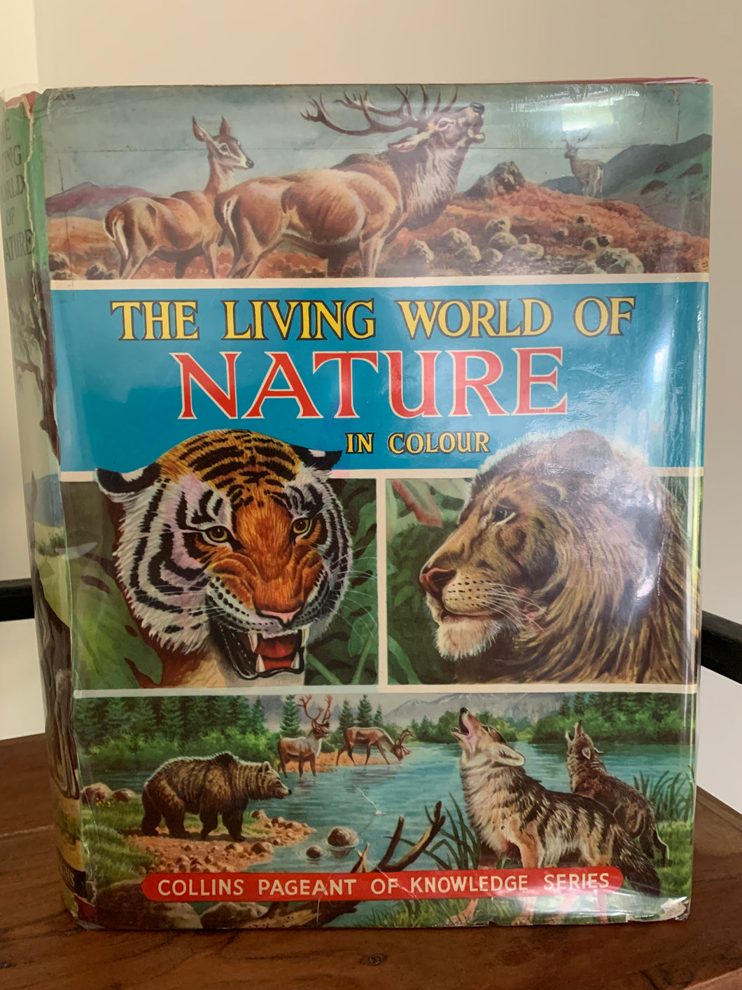 The Living World of Nature