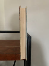 Biggles Takes it Rough