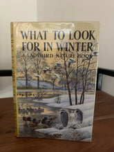 Ladybird Nature Series 536: What To Look For In Spring, Summer, Autumn & Winter