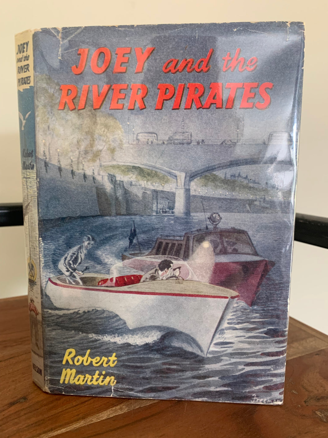 Joey and the River Pirates