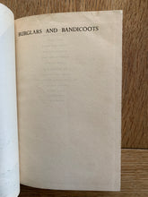Burglars and Bandicoots