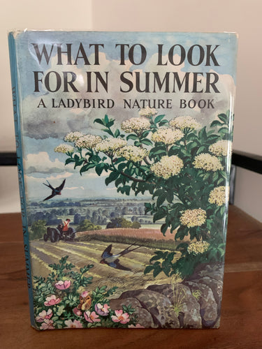 What To Look For in Summer