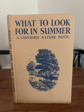 What To Look For in Summer