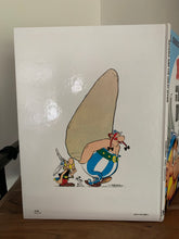 Asterix and the Great Divide