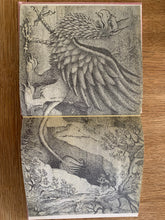 The Griffin and the Minor Canon