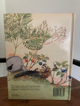 Mrs Pepperpot and the Bilberries