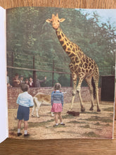 John and Jennifer At The Zoo