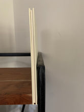 Janet's Last Book: Janet Ahlberg 1944-1994 - A Memento