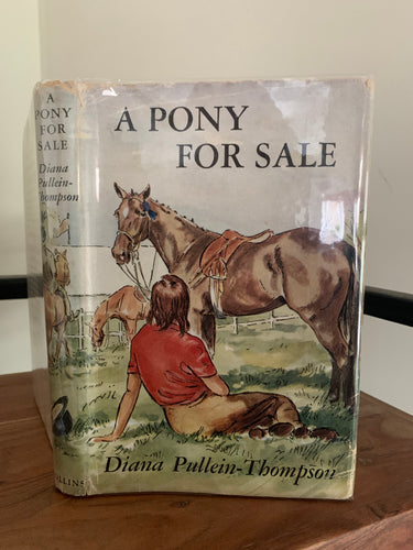 A Pony For Sale