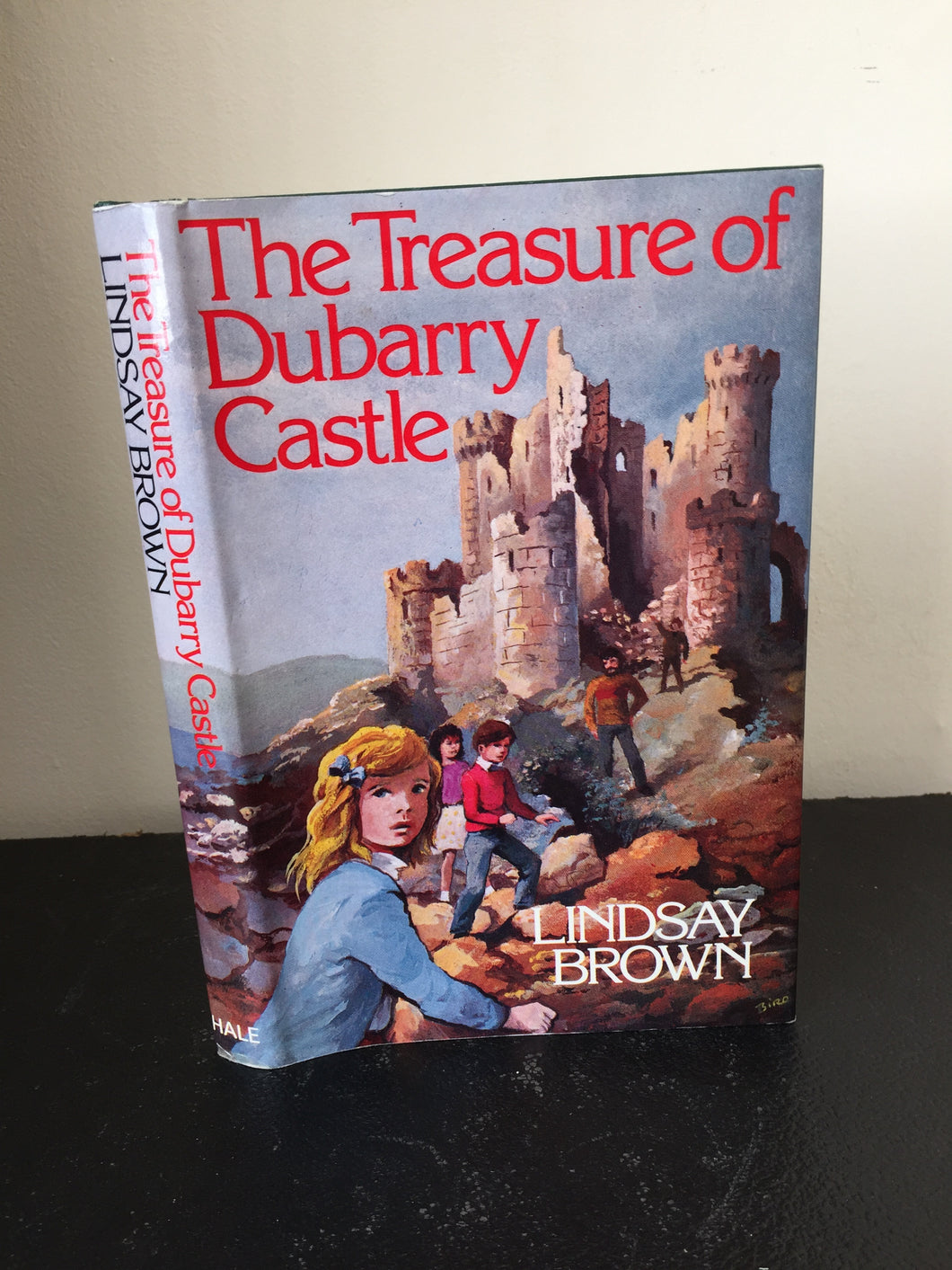The Treasure of Dubarry Castle