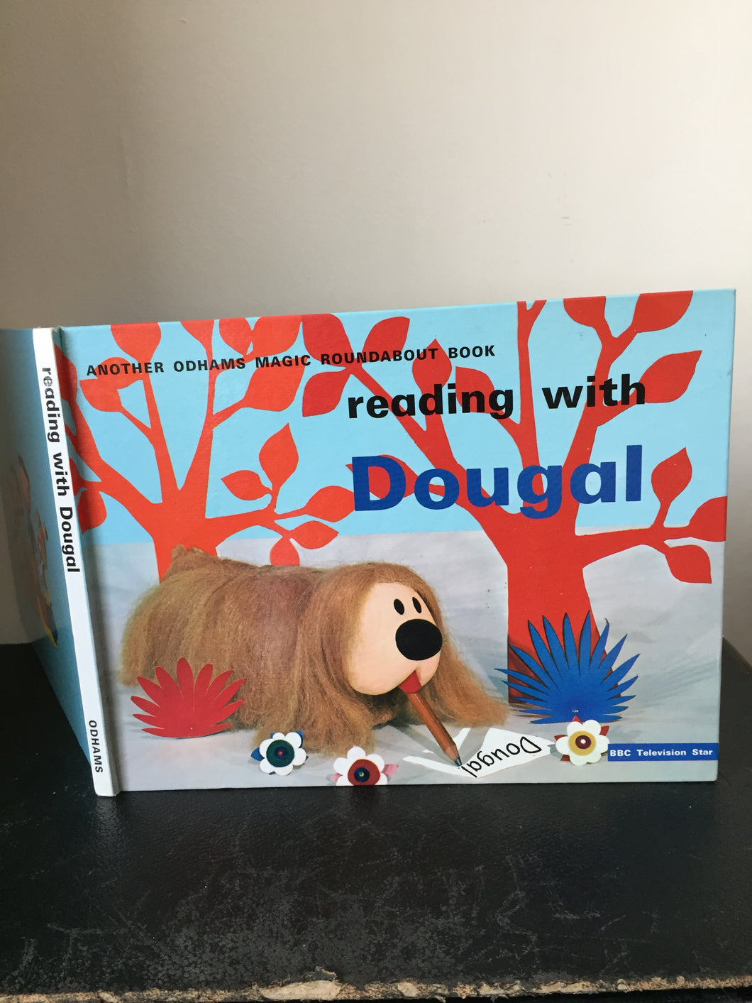 The Magic Roundabout. Reading With Dougal