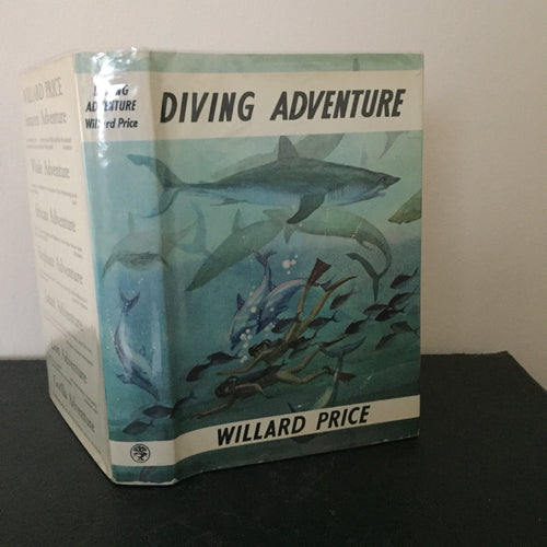 Diving Adventure