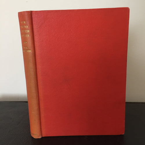 The Twins And Their Ponies