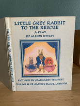 Little Grey Rabbit To The Rescue