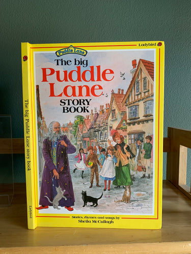 The Big Puddle Lane Story Book